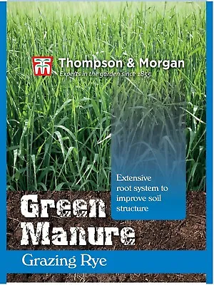 Thompson & Morgan Green Manure Grazing Rye Garden Plant Hardy Annual Garden Seed • £3.49