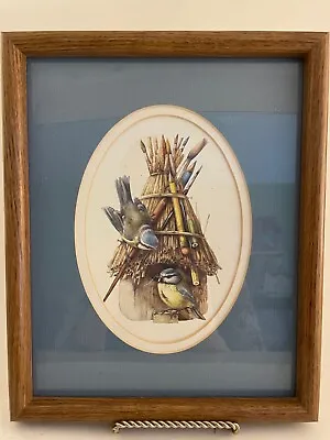 Marjolein Bastin Framed Art Print Natures Sketchbook Birds House Pencils Brushes • $34.99