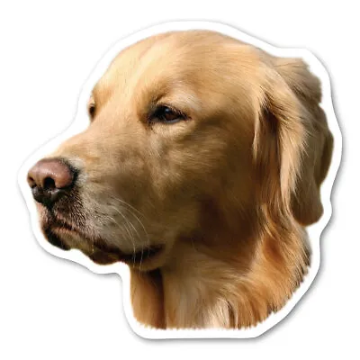 Golden Retriever Magnet • $3.49