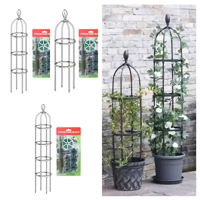 3 Sizes Climbing Plants Metal Garden Obelisk Strong Tubular Plant Cage Support • £17.99