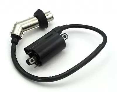 Linhai 260 Ignition Coil 250/260/300cc Engines Street Scooters ATV VOG 260 • $35.99