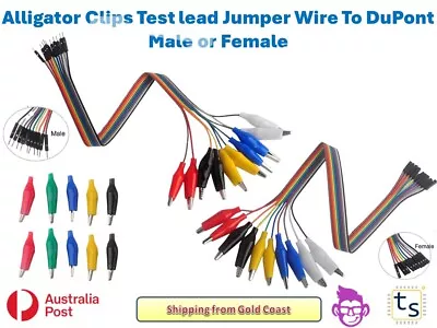 Alligator Clips Test Lead Jumper Wire To DuPont 10Pcs Male Or Female Connector • $9.25