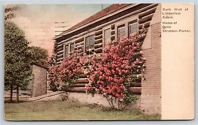 Hand-Colored~Back Wall Limberlost Cabin Muncie Indiana~Vintage Postcard • $3.70