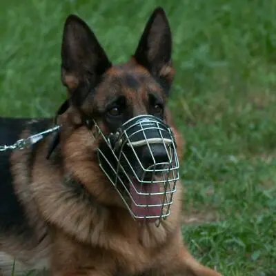 £55.08 • Buy Female German Shepherd Muzzle Size Metal Wire Basket Padded Allows Drinking UK