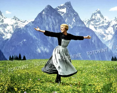 The SOUND OF MUSIC Photo Picture JULIE ANDREWS Maria  8x10 11x14 Or 11x17 (SM2) • $4.95