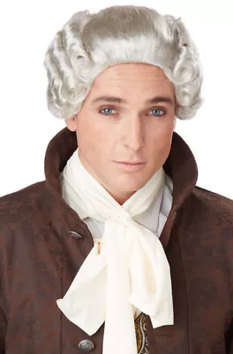 Men 18th Century Grey Peruke  Colonial British Judge Costume Wig • $14.63