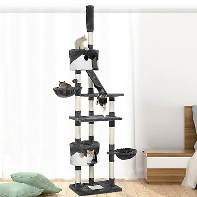 Floor To Ceiling Cat Tree Large Cat Climbing Tower W/ Scratching Post Dark Grey • £69.99
