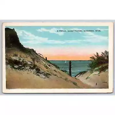 Postcard MI Muskegon A Typical Dunes Picture • $5.41