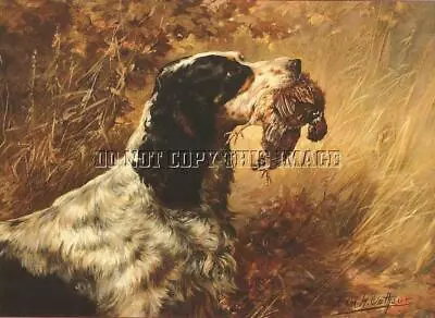 Antique Hunting Repro 8x10 Osthaus Photo Reprint English Setter Bobwhite Quail • $11.99