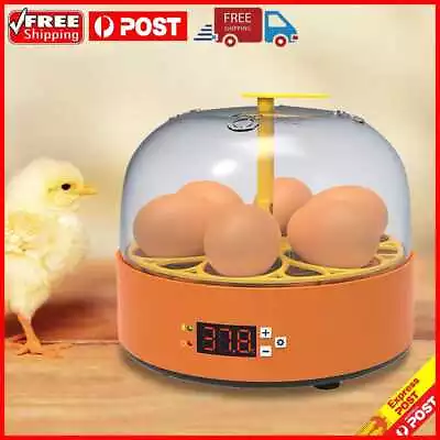 £25.77 • Buy 6 Egg Incubator Mini Eggs Incubation Brooder 15W Adjustable Temperature Control