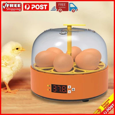 £25.77 • Buy 6 Egg Incubator Mini Eggs Incubation Brooder 15W Adjustable Temperature Control