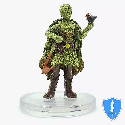 Spring Eladrin - Volo & Mordenkainen's Foes #18 D&D Miniature • $1.99