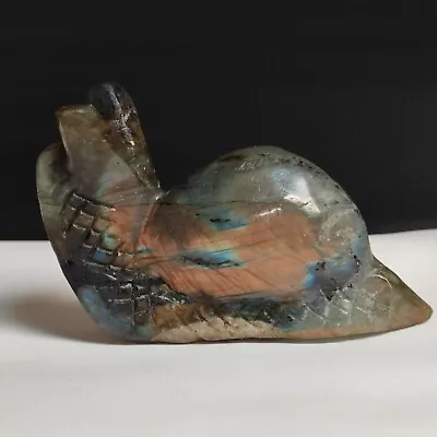 Natural Crystal Labrador Mineral Raw Stone Handmade Sculpture Snail • $4.99