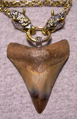 Megalodon Shark Tooth Teeth Necklace Jaw Fossil 2 7/8  Big Polished  Viking  Gem • $129