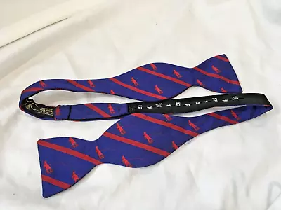 Hunters Blue Background Red Striped Fisherman Self Tie Silk Batwing Bow Tie • $3.99
