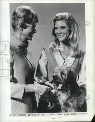 1968 Press Photo June Lockhart And Meredith MacRae With Dog - Hcp93441 • $17.99