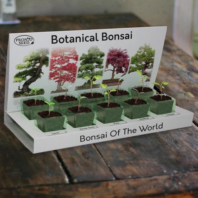 £8.99 • Buy Bonsai Tree Kit | Grow Your Own Bonsai Trees From Seed | Gardening Gift