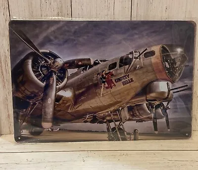 Tin Sign Liberty Belle American USAF Airforce Fighter Plane Bomber Ww1 Ww2 • $9.95