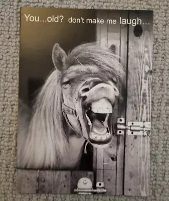 Funny Cute Horse Black & White Birthday Card • £1.99