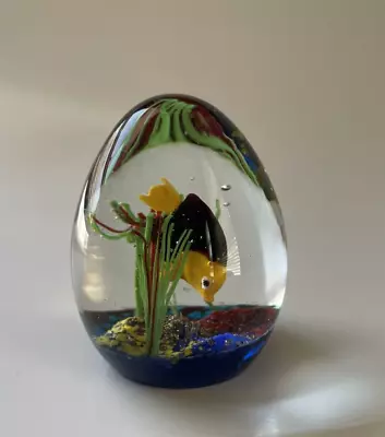 Murano Glass Aquarium Egg Ferro & Lazzarini Original Label • $59.92