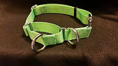 Martingale Dog Collar Combination 2 D Rings USA Made Tough (METAL BUCKLES) • $14.95