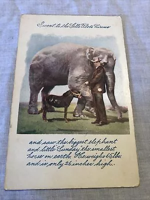 Sells Floto Circus Elephant/Horse Jefferson Texas Printed 1907 Marshall Embossed • $19