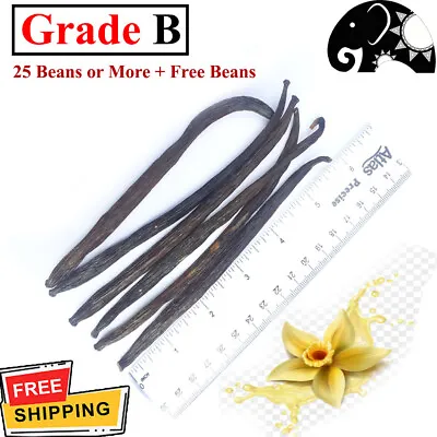 Organic Vanilla Beans Grade B Pods For Extraction & Baking Fresh Fragrance • $8.96