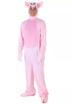 Plus Size Pig Costume • $66.98