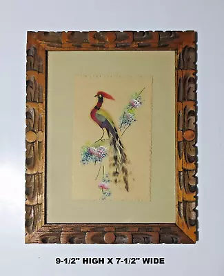 LOW PRICE!  GENUINE BIRD FEATHERS  FOLK ART PAINTING WOOD FRAME W GLASS MEXICO • $8