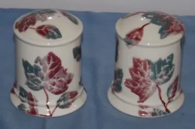 £13.25 • Buy Vintage Park Rose Pottery Bridlington, Cruet Set Salt & Pepper, Leaf Design 