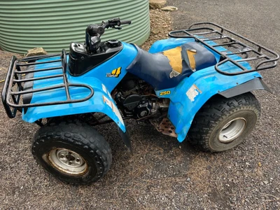 $1000 • Buy Yamaha Quad 250 Moto 4