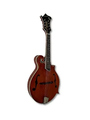Hand Carved Solid Spruce Top F Style Mandolins With Tool And Gig Bag • $549