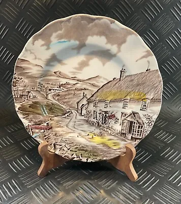 Vintage Quiet Day By W.H. Grindley Staffordshire 9” /23cm Plate • £5