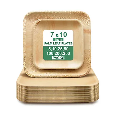 Palm Leaf Plates Bamboo Disposable Biodegradable Catering Dinner Party Square • £99.99