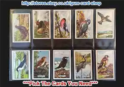 Gallaher - British Birds 1937 (g) ***pick The Cards You Need*** • £0.99