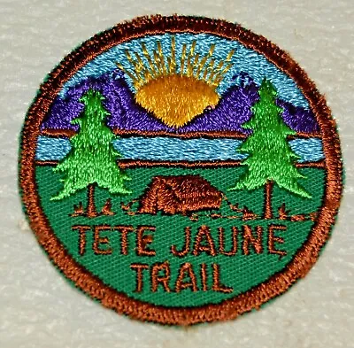 TETE JAUNE TRAIL DISTRICT Circular Yellow Sun Boy Scout Badge Canadian (ABT2B) • £7.70