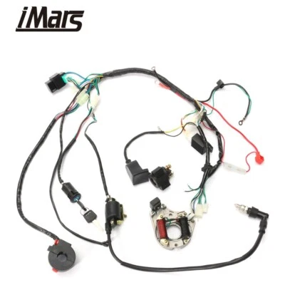 $39.96 • Buy Wiring Harness Wire Loom CDI Coil Electric Start ATV 50 70 90 110CC Quad Bike