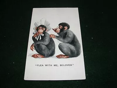 Vintage Postcard Art Inter-art Monk Series Chimpanzee Monkey Humour Animals • £2.25