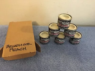 Daco Products Westpac Model Hobby Paint Lot Xtracolor Hannants Broadmoor Peach • $60