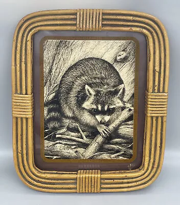 Vintage Art On Glass Etching Raccoon Animal Lucid Lines~Rattan Bamboo Wood Frame • $18