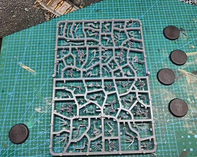 £13.50 • Buy Necron Flayed Ones. X5. New On Sprue Warhammer 40K