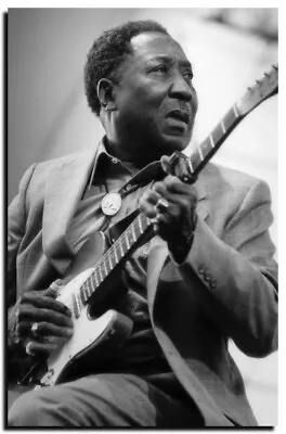 Muddy Waters Poster 24x36 Inch Live Concert Photo Rare Wall Art Print - MW01 • $19.97