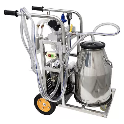 110V Oil-free Vacuum Pump Electric Stainless Steel Bucket Cow Goat Milk Machine • $409.50