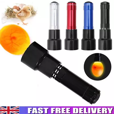 LED Egg Candler Cool Light Egg Candler Tester Egg Candling Lamp Led Light New • £6.89