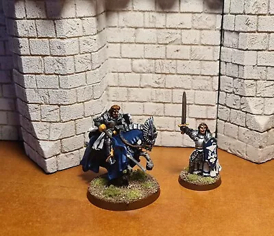 £103.05 • Buy Lord Of The Rings Games Workshop Prince Imrahil Dol Amroth Pro Painted NEW