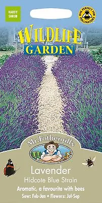 Mr Fothergills - Herb - Lavender Hidcote Blue Strain - 100 Seeds • £3.85