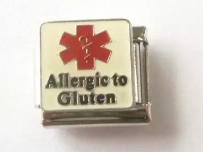 DIABETIC MEDICAL GLUTEN ITALIAN CHARM LINK  Fits All 9mm Italian Bracelet H14 • £3.10