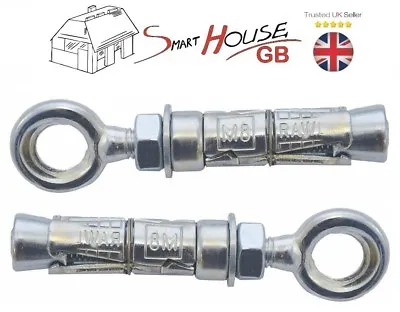 Eye Bolt Shield Anchor Wall Fixing Heavy Duty Brick Masonry Zinc M6 M8 M10 M12 • £3.28