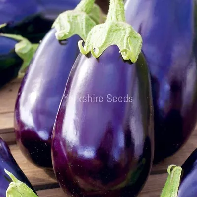 Aubergine Black Beauty 200x Vegetable Finest Seeds • £1.79