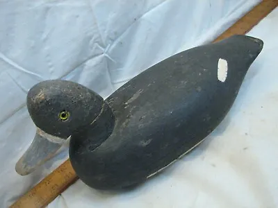 Early Working Lesser Scaup Gadwall Hen Duck Wooden Decoy Hunting Bird Glass Eye • $149.99